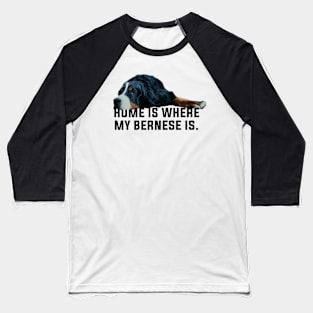 bernese mountain dog Baseball T-Shirt